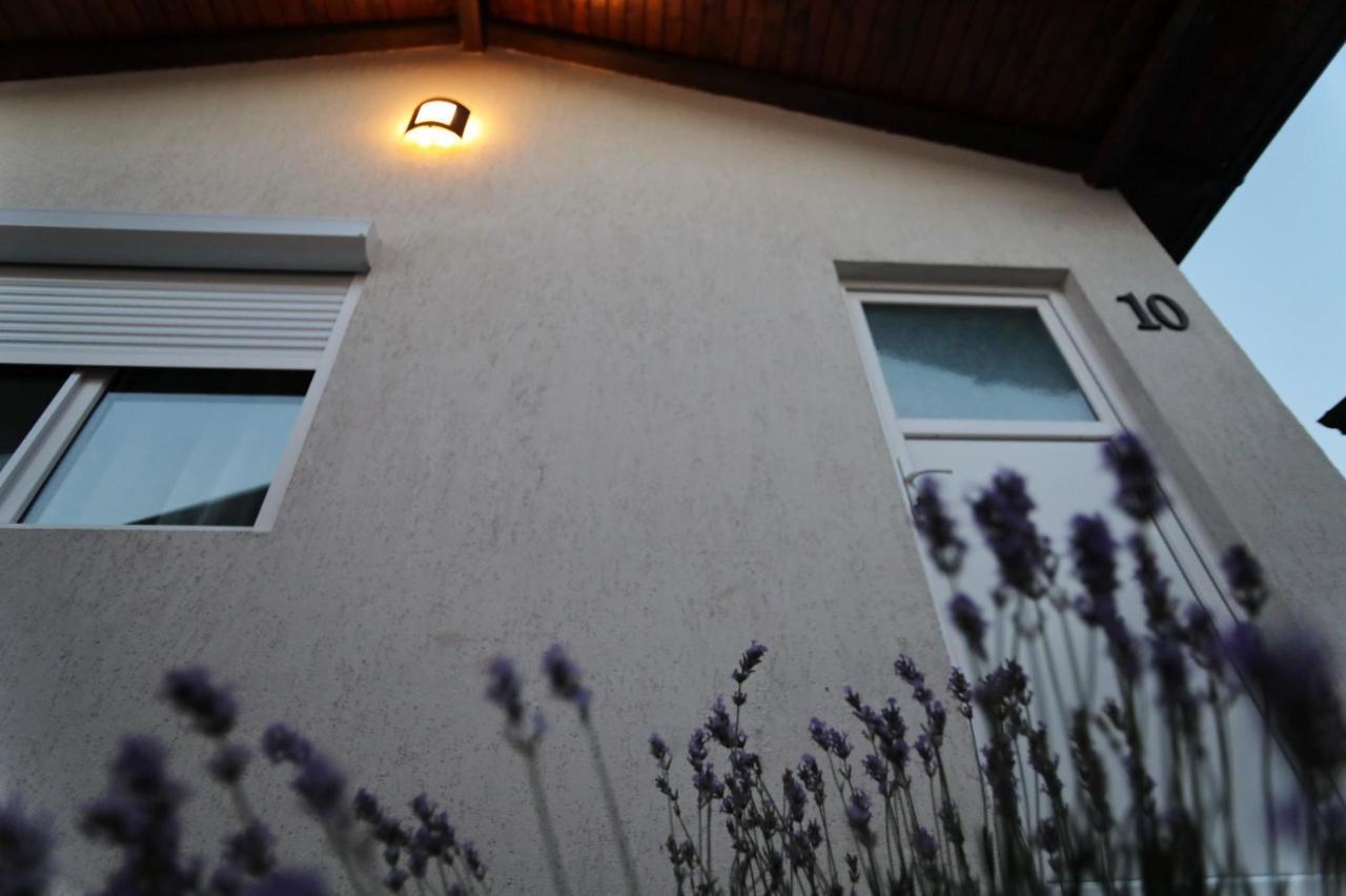 La Casute Tasaul Villa Năvodari Eksteriør bilde